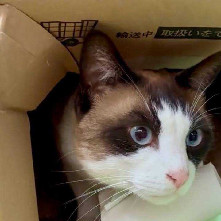 Feac1d6f 813a 46de 9e88 128cbf415bd1 1749347371111