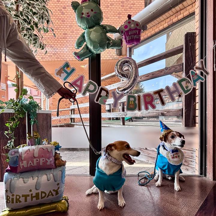 Feac2ea3 c46d 4983 bb4a 676c5e5f7bb5 1745501029127