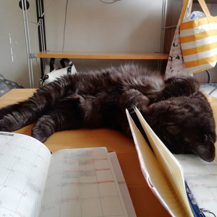 Feac31f5 5837 4dab 9dc9 bb3b056f5708 1638061460926