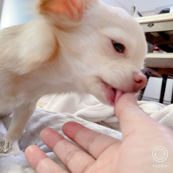 Feacd89c 83ad 44f8 8879 20ee33ccaa6b 1603234222441