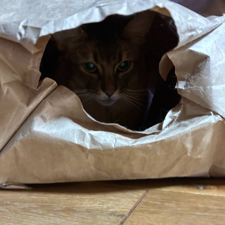 Feacf536 496d 4242 9671 88683c44ddfd 1760099221228