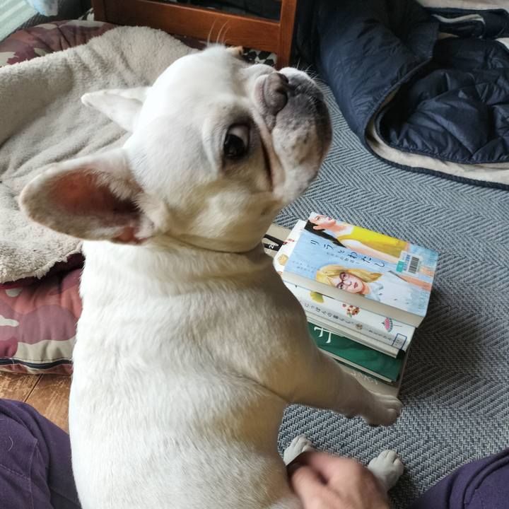 Fead1dd7 8908 4c6e bce3 7b776b00926c 1681593051641