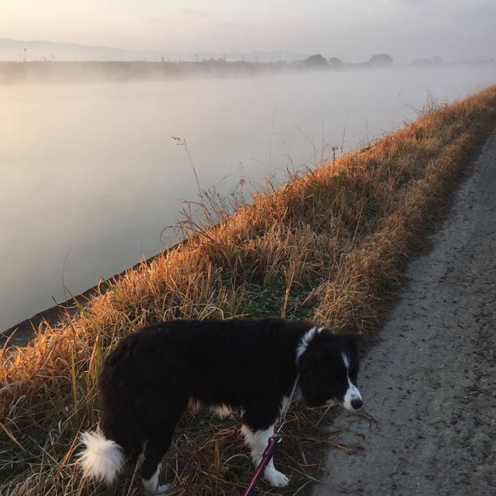 Fead322a 412e 4888 b2c2 70bfe261dad9 1581118010413