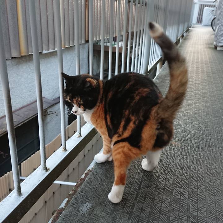 Fead39d8 ebf0 4a1a a581 281f86d5c1bd 1666819947871