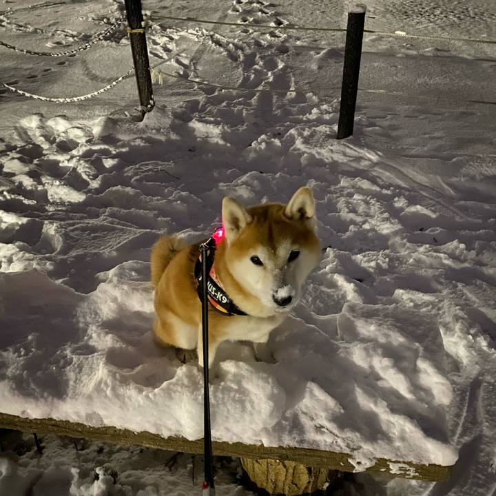 Fead711c bc7c 45c1 9ec5 87940097b430 1608463955758