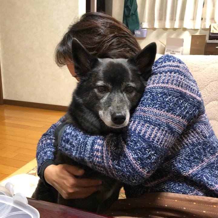 Fead7d01 4cb3 482d b08f 77b8986a34a6 1517983271137