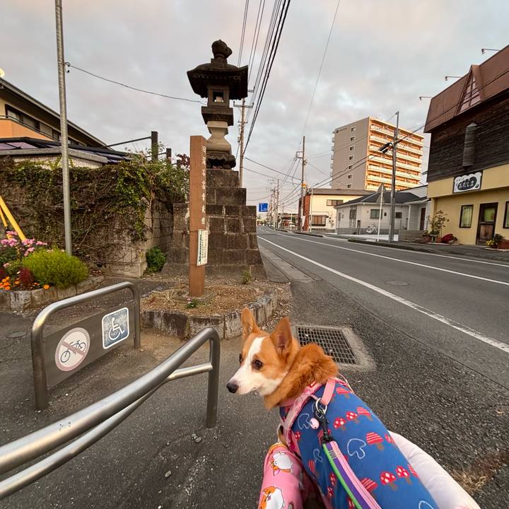 Feadd289 7130 40f5 bca7 74693ce290de 1763896111772