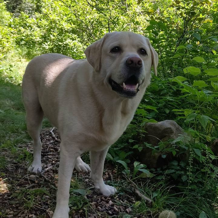 Feadde8a b6eb 4452 a1b8 d85b0cfa86f7 1660021101482