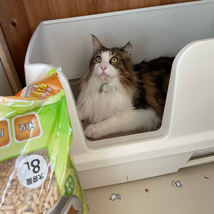 Feae3703 ea91 4f46 93a3 9a637eb01998 1671946560077