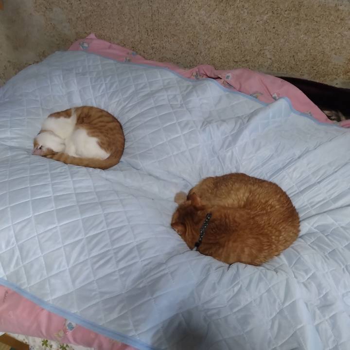 Feae3aab c4b1 4c55 8ee4 b2862f81f340 1735091062965