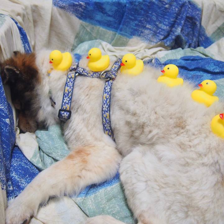 Feae5f1c fea2 45a2 bb64 ed12f384d4a8 1615966466818