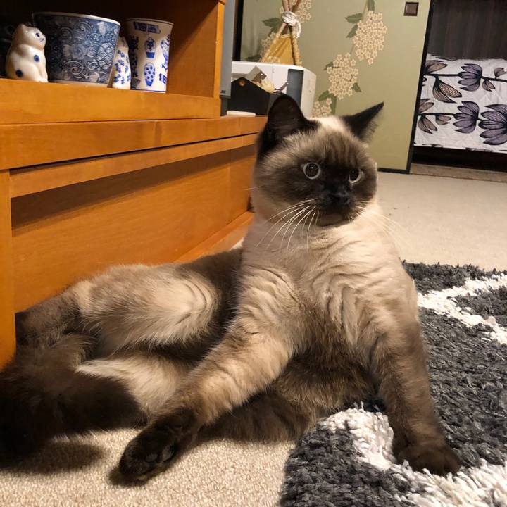 Feae6fd5 4ed4 4e99 9be6 e2bb165f6bc8 1605271941793