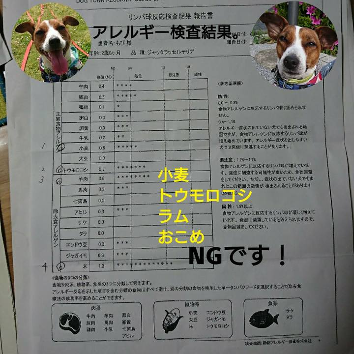 Feae7a42 c94a 437e ac3c 0a994c5b6552 1587808539280