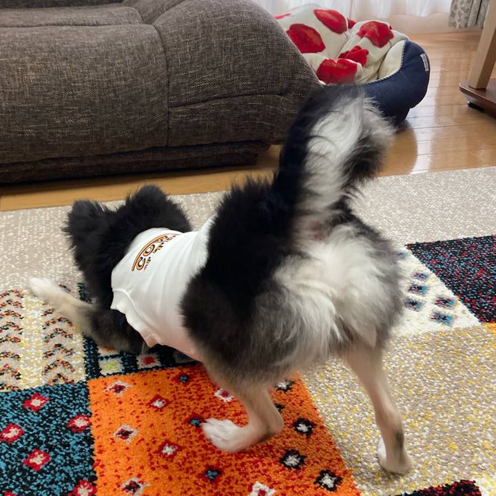 Feae866f 419a 4b33 8d21 93cb9f7c5809 1698507027996