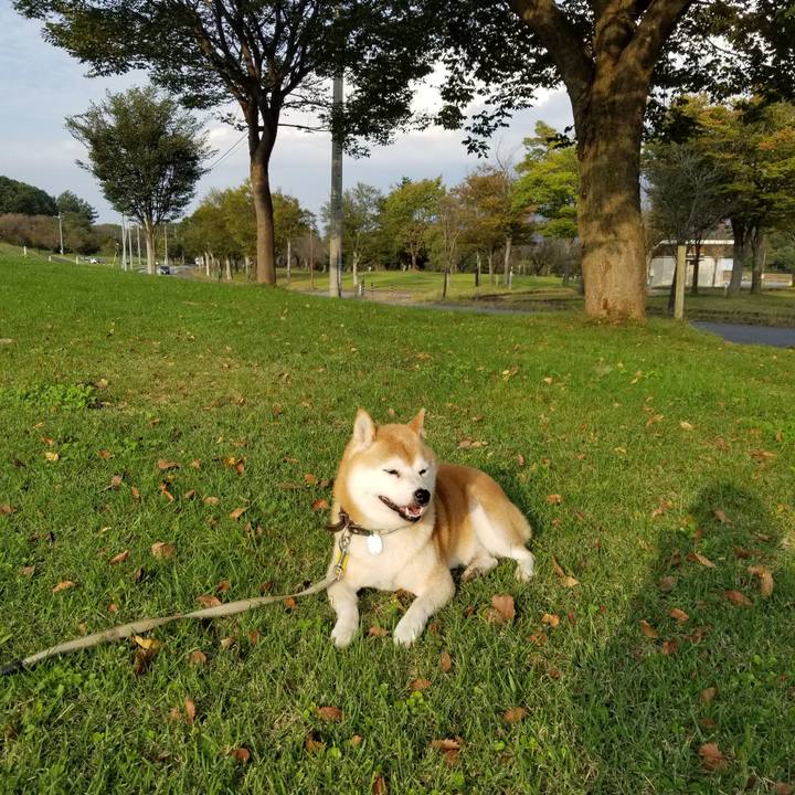 Feae9b5f 1d14 40c7 8a94 7b8f81b83723 1633761714004