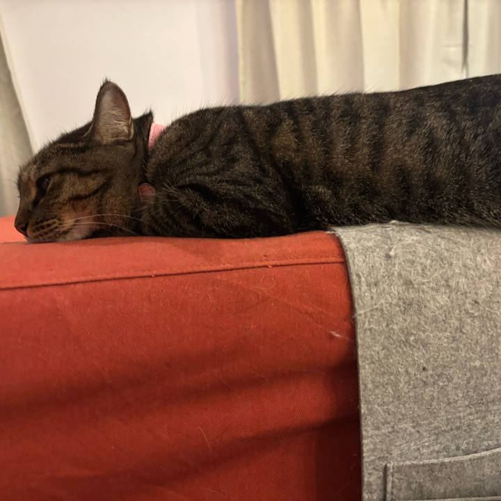 Feaea129 aec2 48aa 9e3c 9bf31e4a37e6 1752615789780
