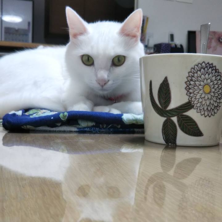 Feaeac8c cc30 45c0 969a e095002f25a1 1696544221027