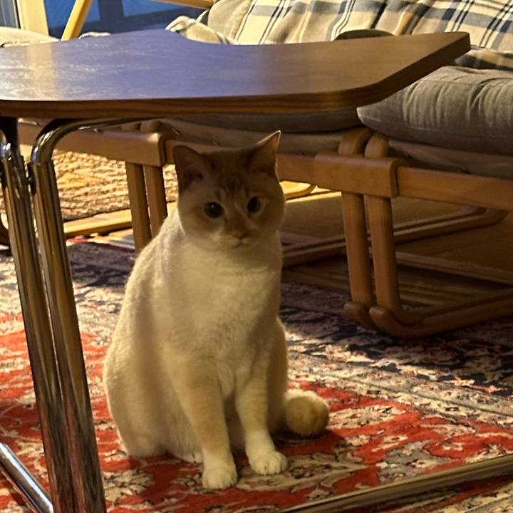 Feaeb5f9 74a7 4190 bf7b e9a719c685b5 1773828712616