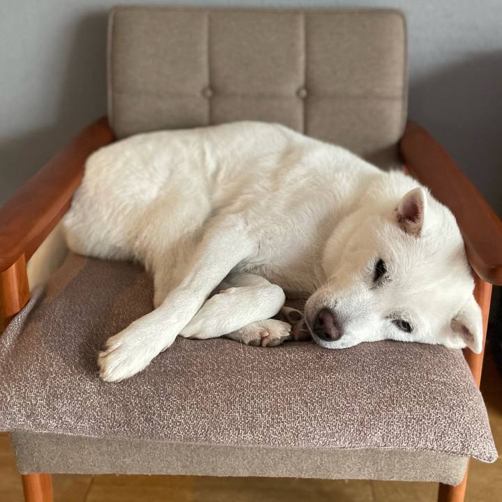 Feaebd9d 579a 4e47 add2 fc9d2c2fee0c 1736570241627