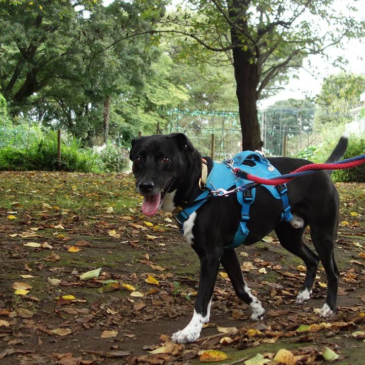 Feaec67e bbd8 42f6 99e1 f07d57b00b56 1630887882910