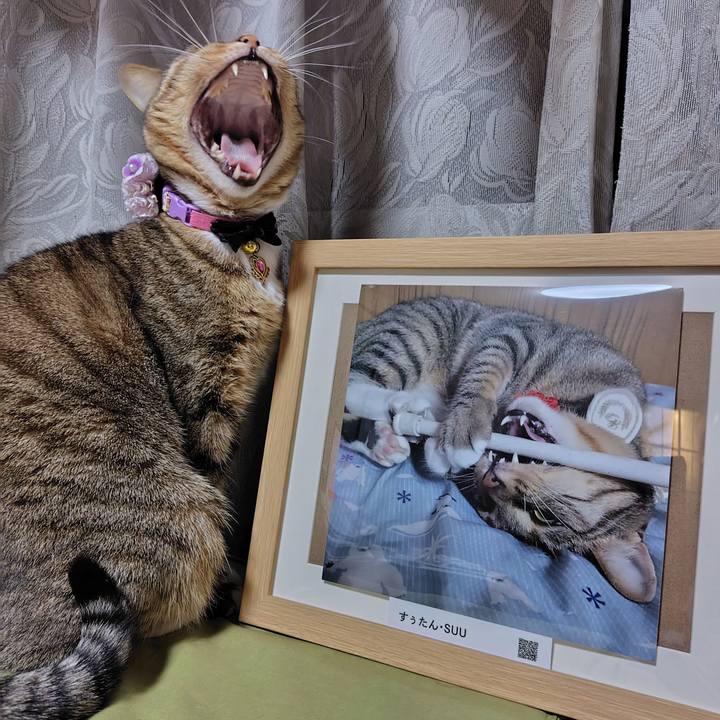 Feaeef50 ea29 4a1b b071 01acfc68f0ad 1768054312667