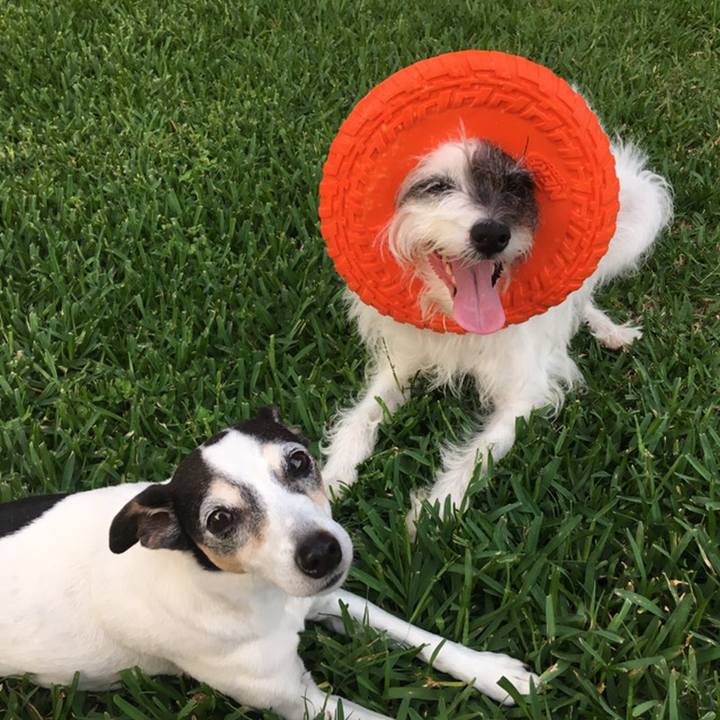 Feaf6331 3a5a 4fe1 a93f a34196730118 1558477095317