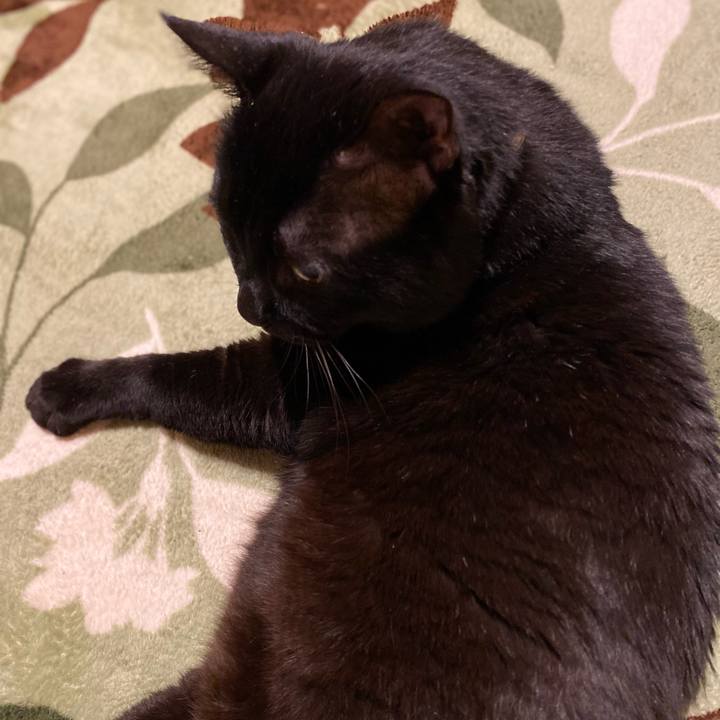 Feaf7b2c 21f6 4ae0 895a 199e50bce7bb 1616673846861