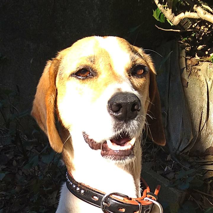 Feaf92b2 b1db 4bb8 a8fa 559f05a80bd3 1633173924206