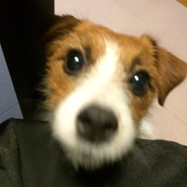 Feafa8eb 4362 4242 a789 5dbbe2856e89 1512124260600