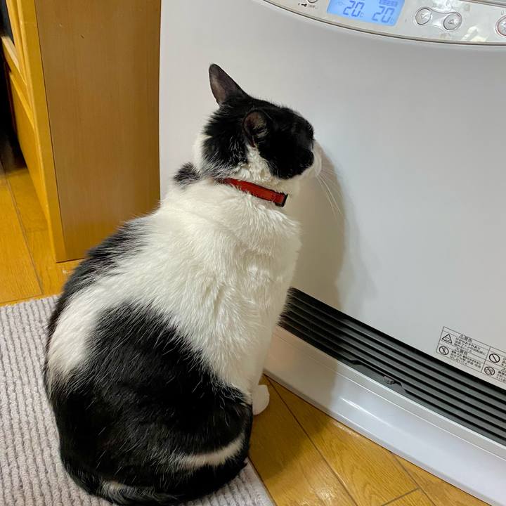 Feb000d6 c93c 4d2d a564 fbe113a4060e 1744723170016