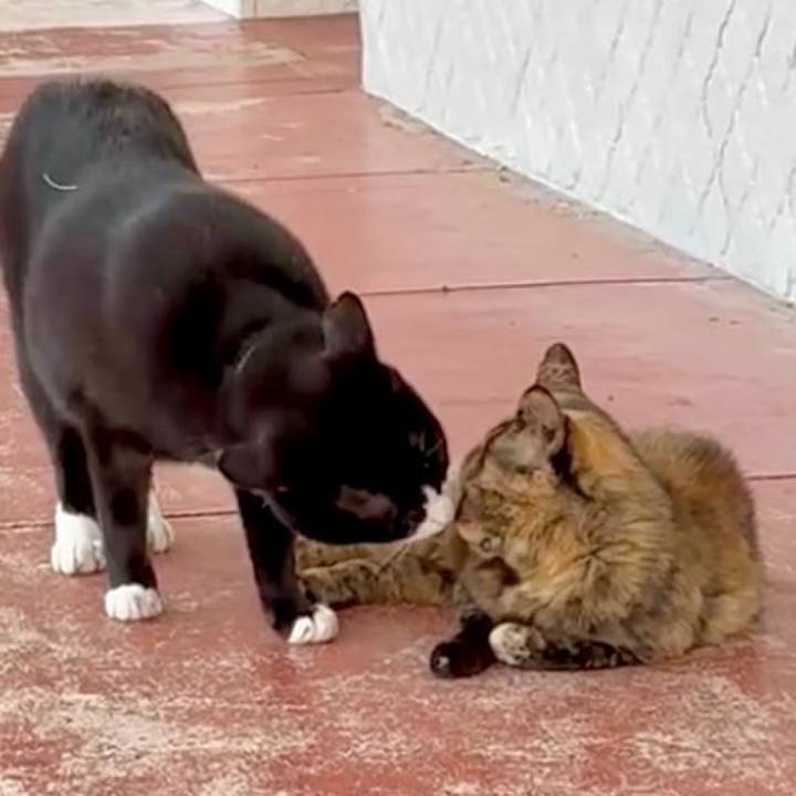 Feb01021 91dd 4ca1 9c43 c7b8c929e0c1 1748677989758