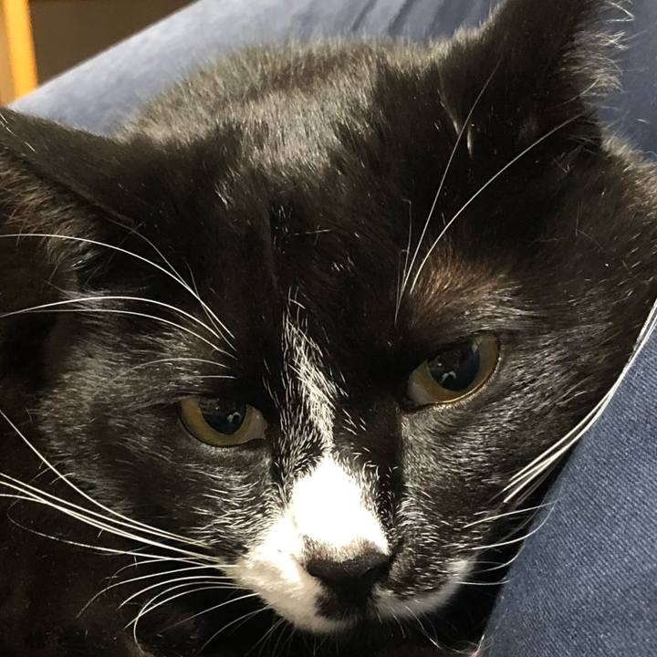 Feb01849 8164 4aef b31b dfa67d19d5ed 1656132602179