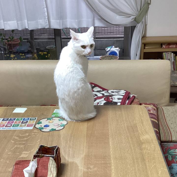 Feb04fc5 6339 4b63 8ce7 8f8d2b5b0cc5 1647814016524