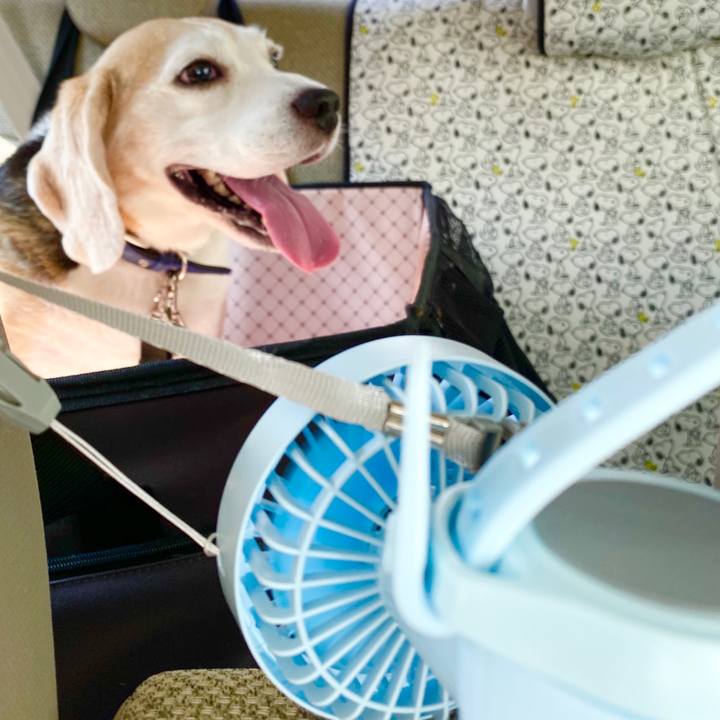 Feb08fed 456f 49c4 bcbe 01815583d380 1596515081475