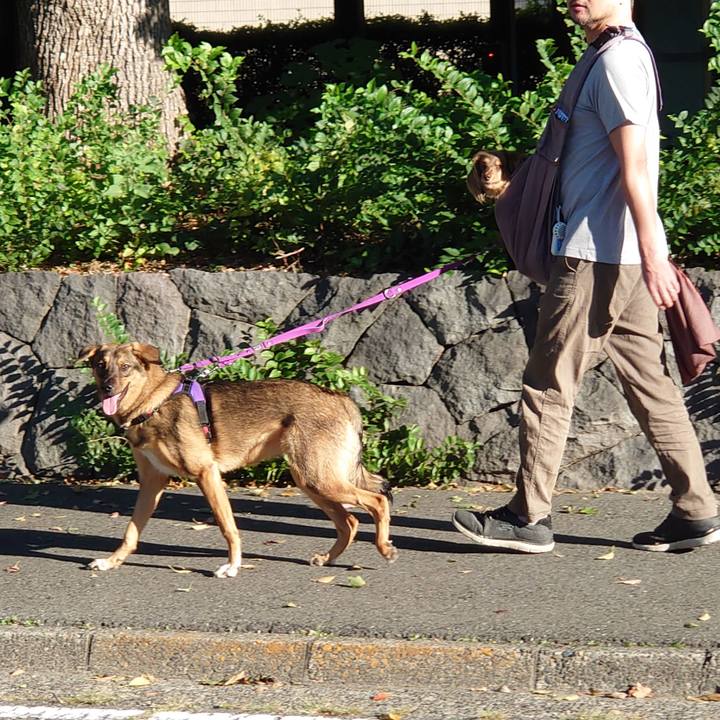 Feb0f997 31ee 4478 89d0 676cf8a6bb8c 1695952213819