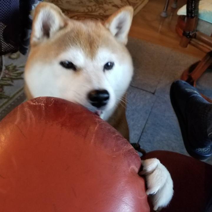 Feb1081d 6d27 4ea5 a35a a26342d8f8e6 1567843496481