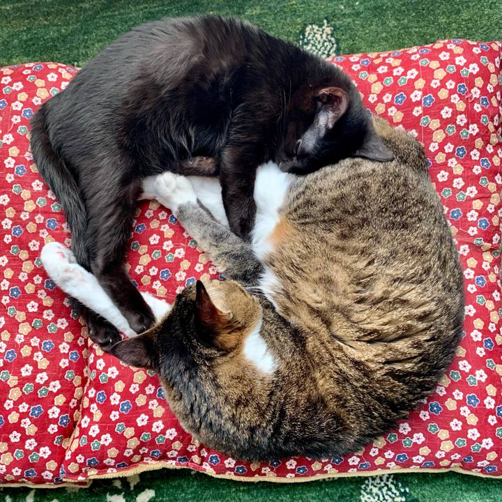 Feb137c7 8651 470e a0a1 44835289f3de 1645842393240