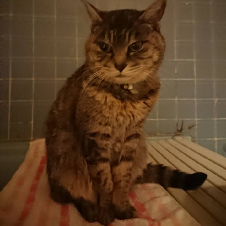 Feb1483b 6d49 4842 ae2f 00813b0daf89 1577178734390