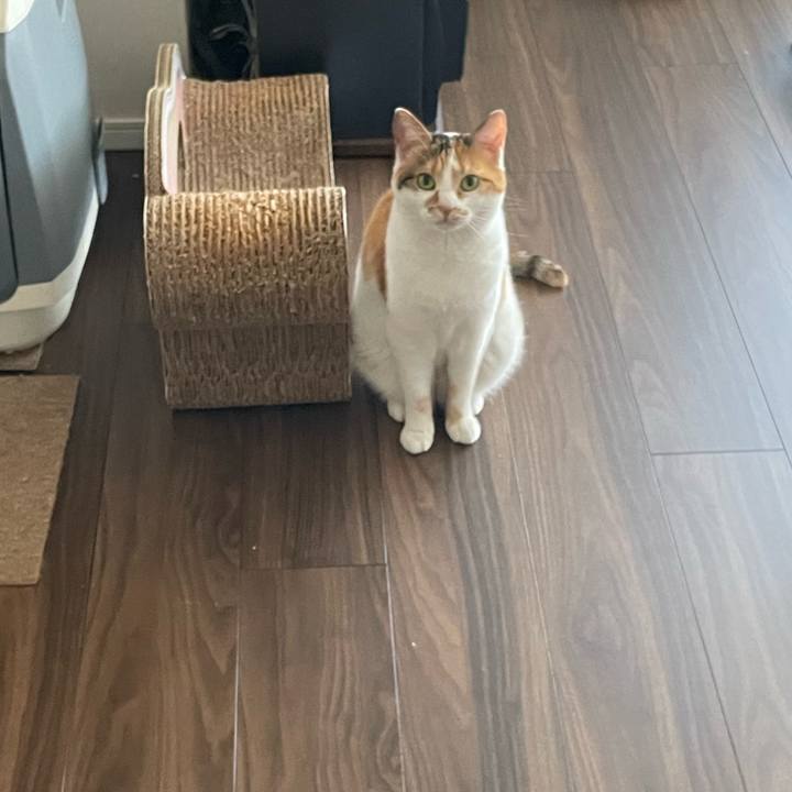 Feb17ef2 e7c7 438b bd54 1cdbc559136e 1653867149551