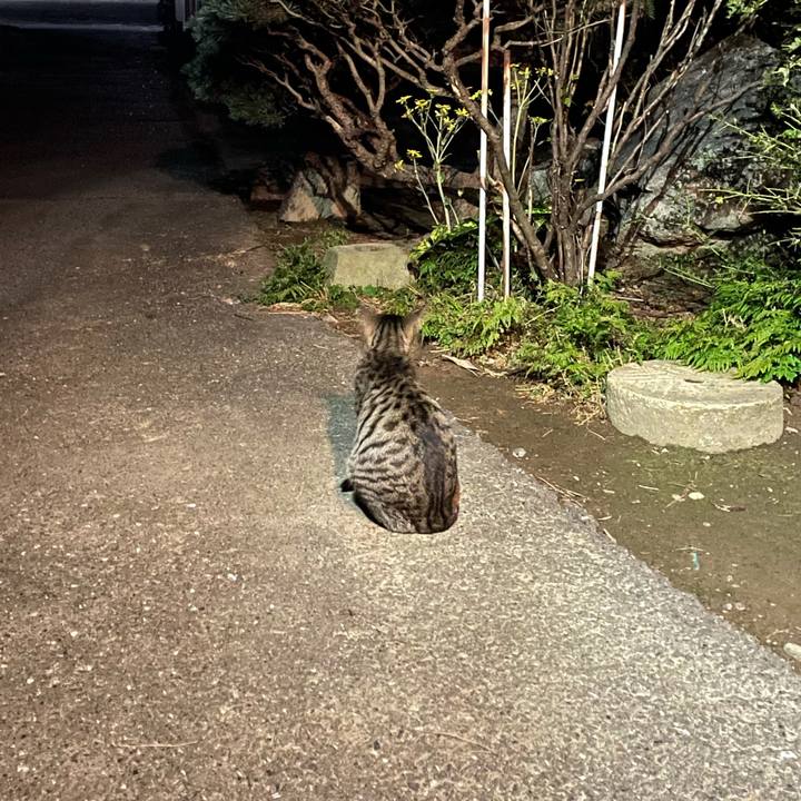 Feb1dcfb d1e2 47a7 8d82 4837544da2ad 1634663454392