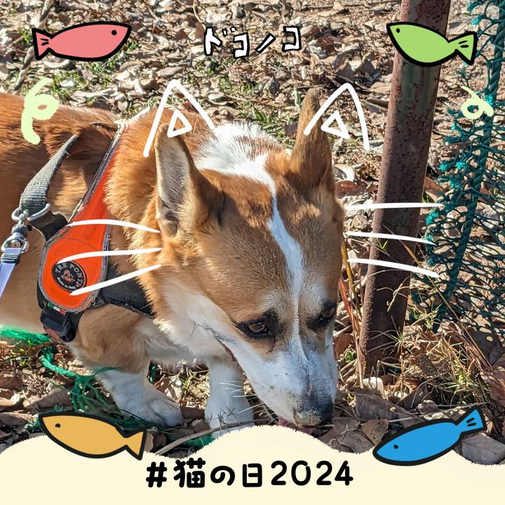 Feb21612 5eb0 4b5f a389 be2dde556b5a 1708578027344