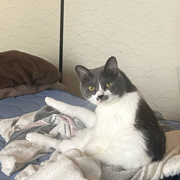 Feb269b7 1317 4836 8924 1a8022ea794b 1664144764898