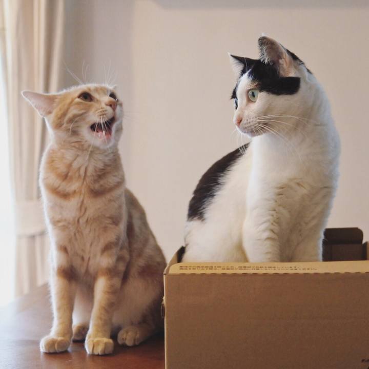 Feb28e06 ba0d 45b9 bb00 0f74f2779ca9 1563782652945