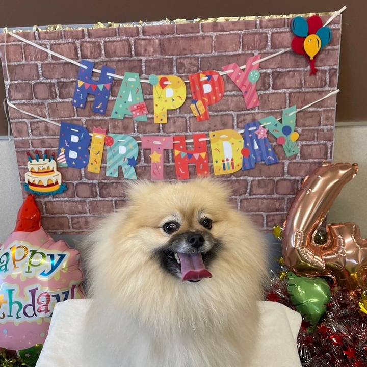 Feb2ba8d b28f 4def 98ab b303eadf7d49 1727956659108