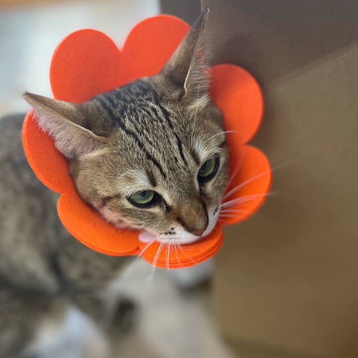 Feb2ecfe c7ad 4602 95da b382d78548f2 1700910482471