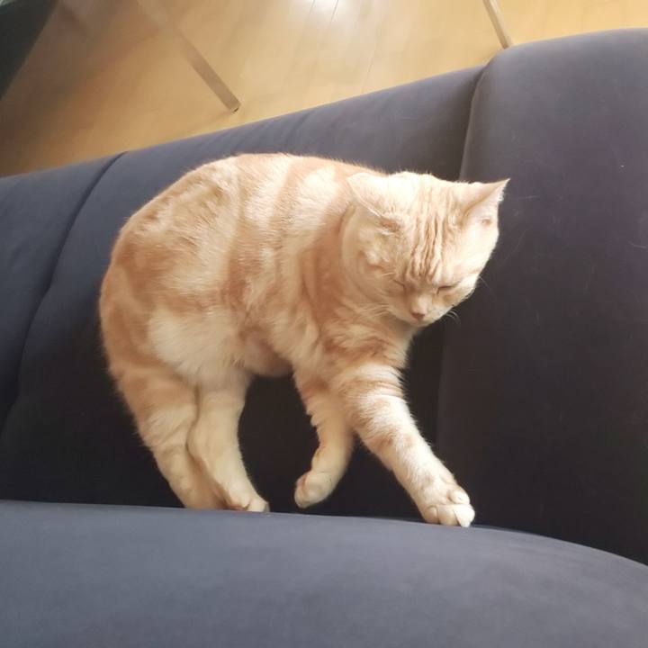 Feb2f517 83fd 47a3 8151 27d82e8746c9 1544057913369