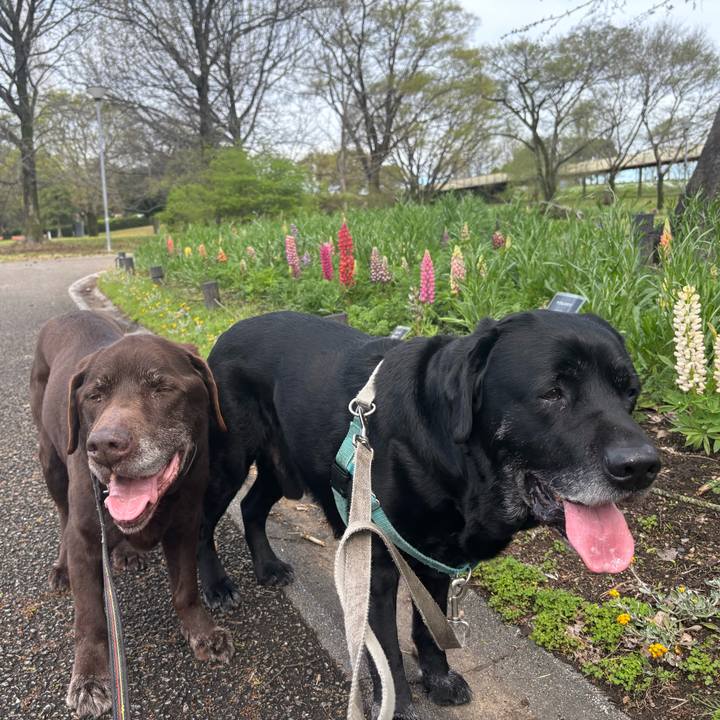 Feb31073 bb70 42b4 b1b9 683f3d96a3fc 1775476720089