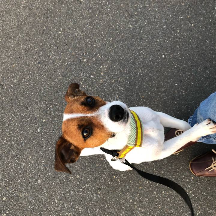 Feb313b4 617b 42e8 a5ae 47c5bed855bc 1529925291966