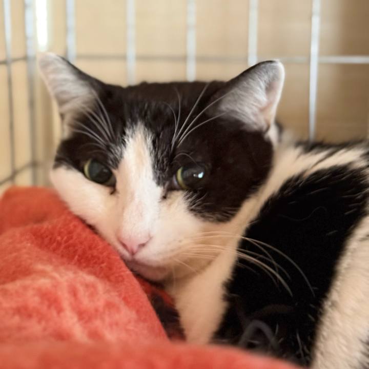 Feb324f1 556f 47da 8442 3255a6e26ae4 1772844703728