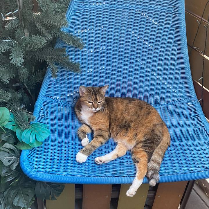 Feb32e1a f2f3 4036 9b40 145364753326 1756449251895